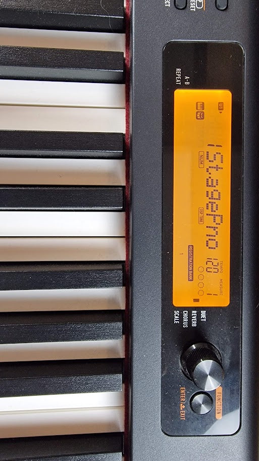 CASIO CDP S350 88 KEY HAMMER WEIGHTED DIGITAL KEYBOARD