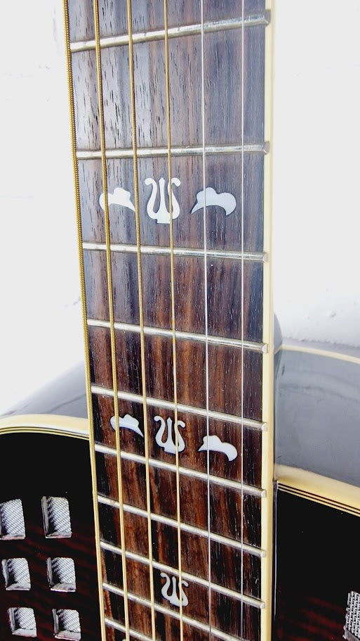 OZARK 3517 TRICONE RESONATOR SUNBURST GUITAR WITH HARDCASE