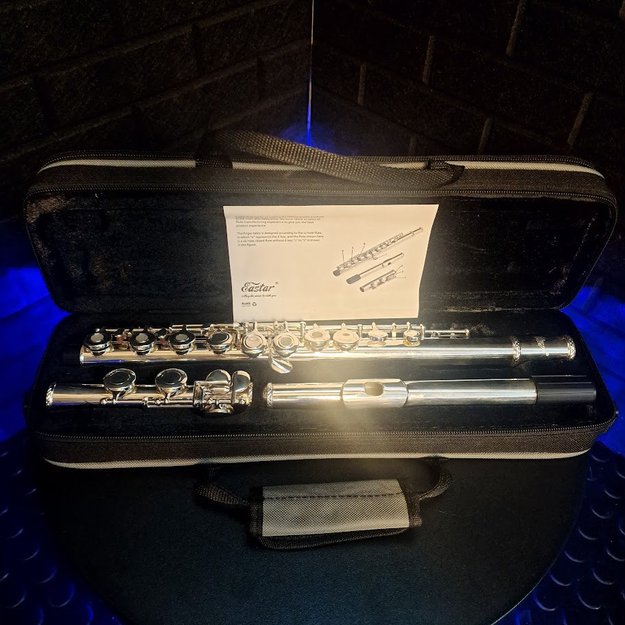 EASTAR C FLUTES OPEN HOLE 16 KEY BEGINNER FLUTE