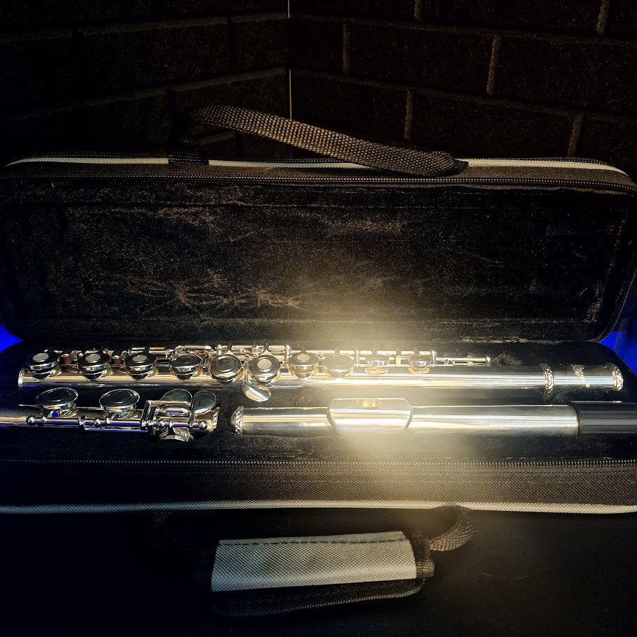 EASTAR C FLUTES OPEN HOLE 16 KEY BEGINNER FLUTE