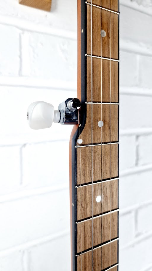 OZARK 2099G 5 STRING BANJO COMPOSITE SHELL AND RESONATOR