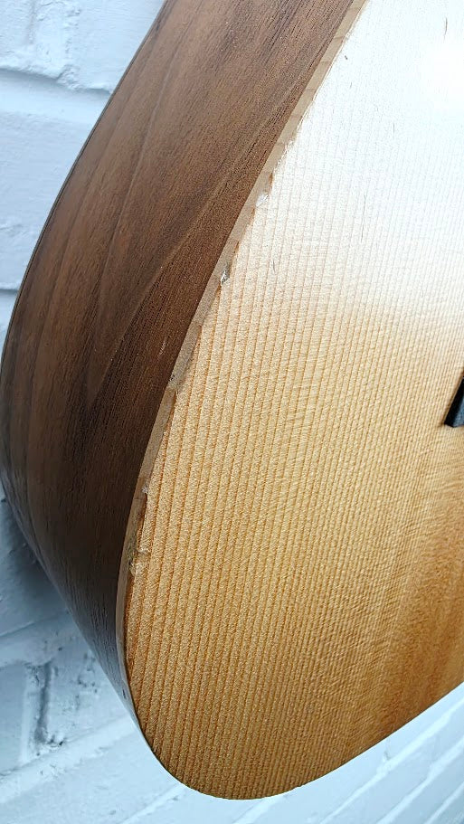 TAYLOR BABY BT1e ELECTRO ACOUSTIC GUITAR AND CASE