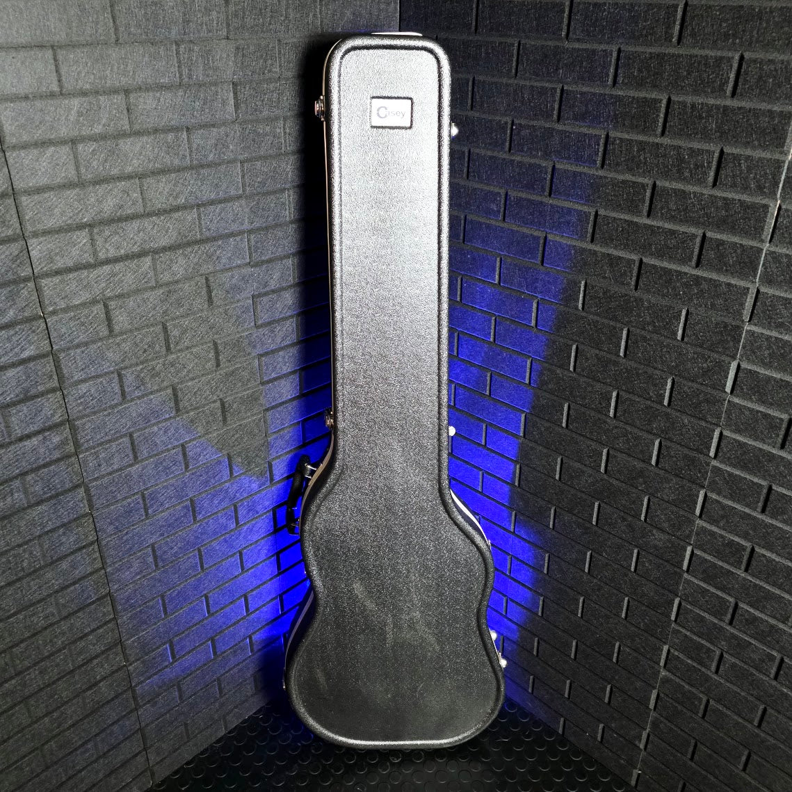 CASEY MOULDED BASS ABS HARD CASE
