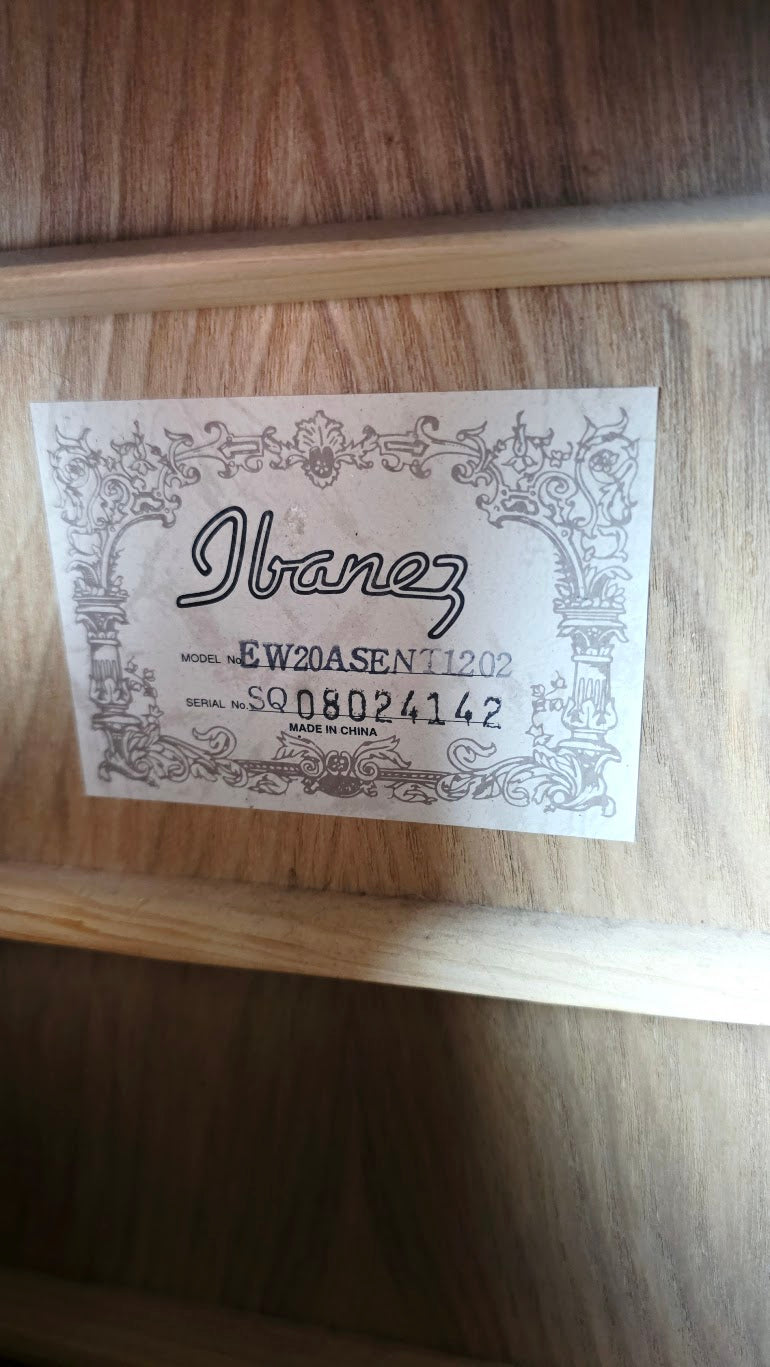 IBANEZ EW20ASE EXOTIC WOOD ELECTRO ACOUSTIC GUITAR *READ DESCRIPTION*