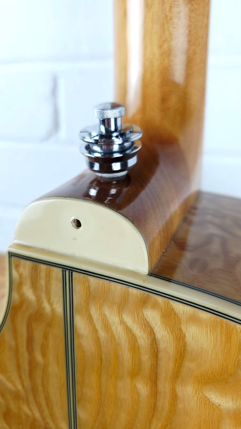 IBANEZ EW20ASE EXOTIC WOOD ELECTRO ACOUSTIC GUITAR *READ DESCRIPTION*