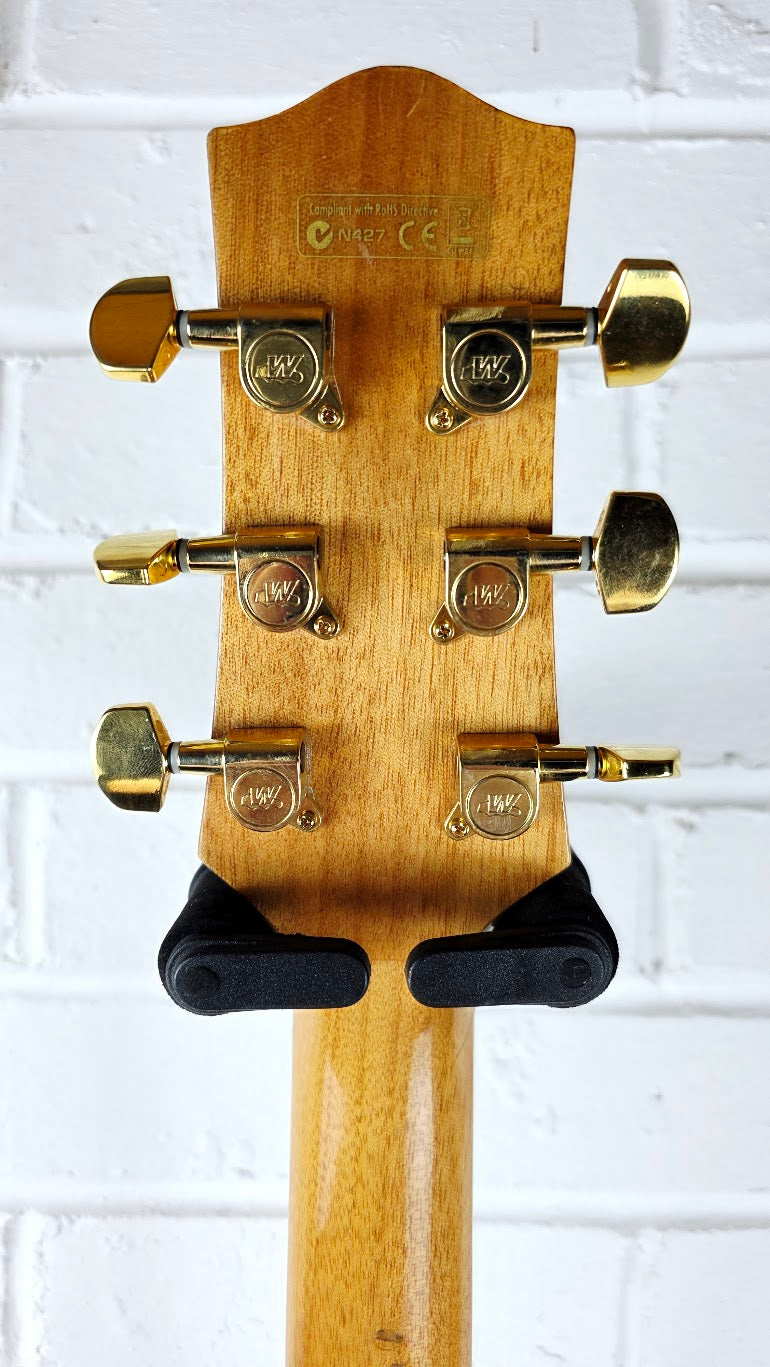 IBANEZ EW20ASE EXOTIC WOOD ELECTRO ACOUSTIC GUITAR *READ DESCRIPTION*