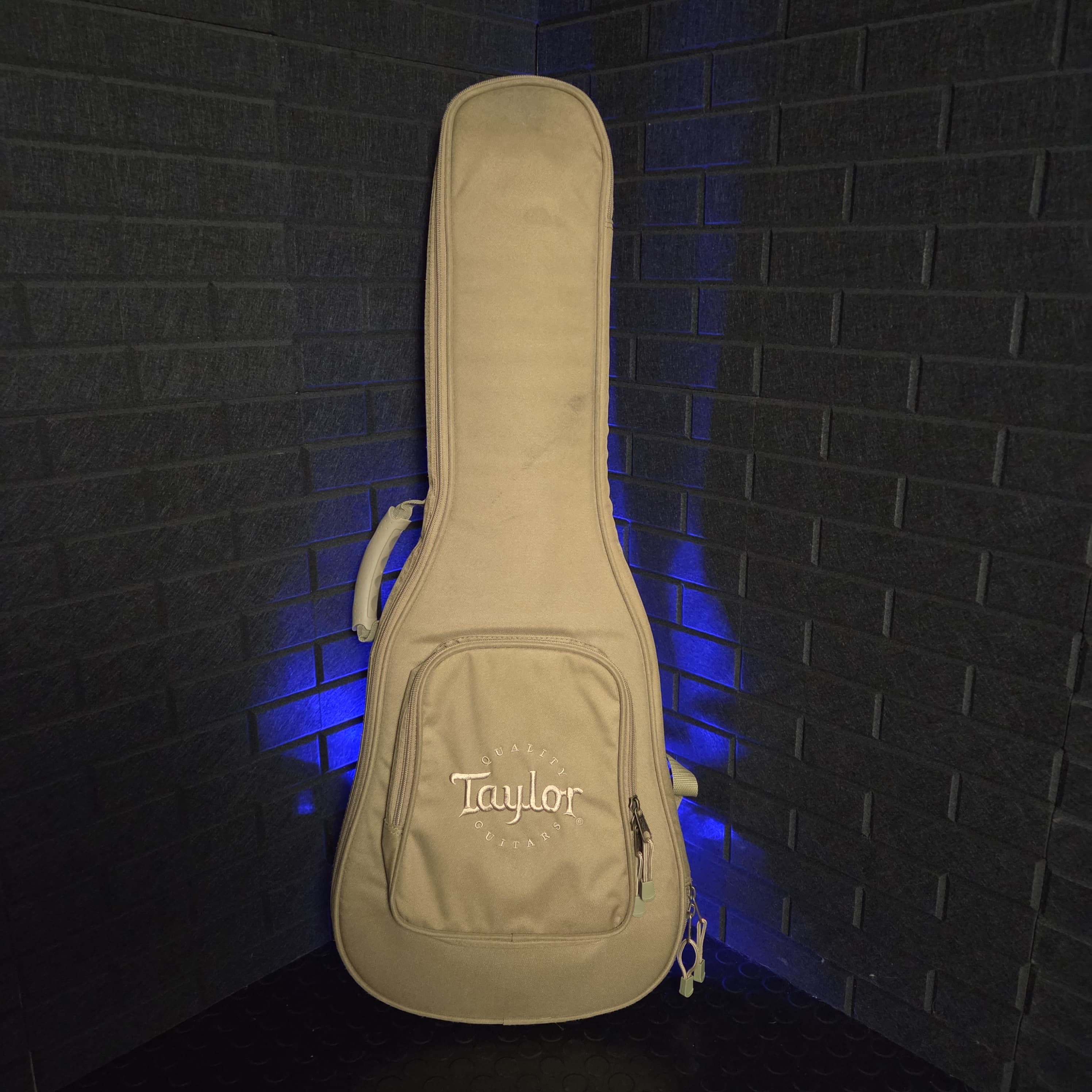 TAYLOR BABY BT1e ELECTRO ACOUSTIC GUITAR AND CASE