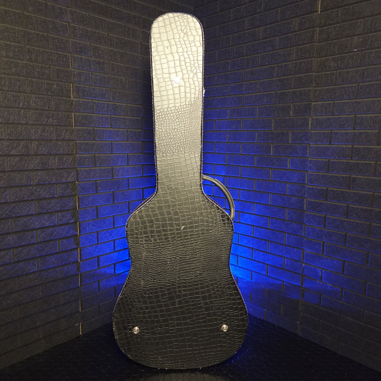 ABS ACOUSTIC DREADNOUGHT SNAKESKIN HARD CASE #001