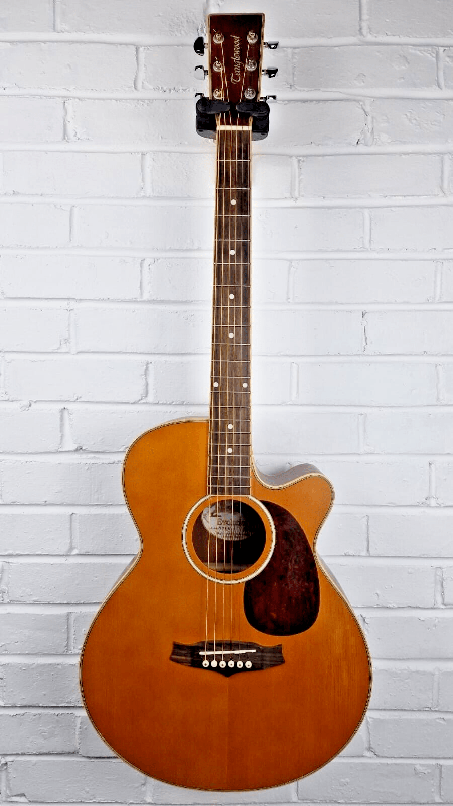 TANGLEWOOD TFCN-3 INDIANA EVOLUTION ELECTRO ACOUSTIC GUITAR