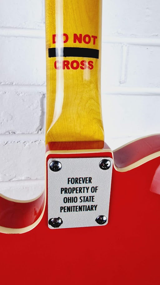 VINTAGE JOE DOE JAILBIRD ELECTRIC GUITAR + TWEED CASE