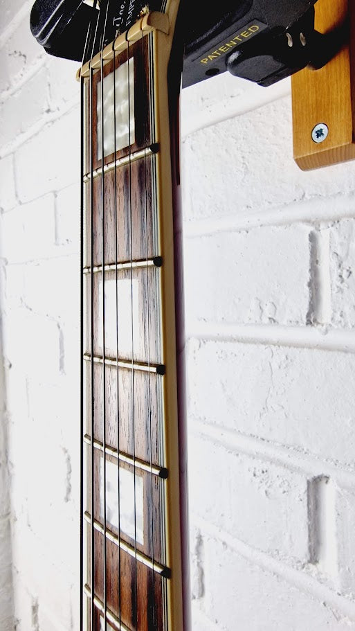 EPIPHONE JOE PASS EMPEROR II PRO WINE RED ELECTRIC GUITAR