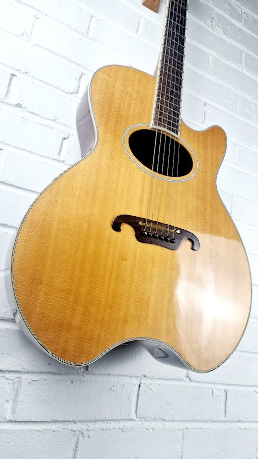 DAION THE 81 GAZELLE ELECTRO ACOUSTIC + ORIGINAL HARD CASE