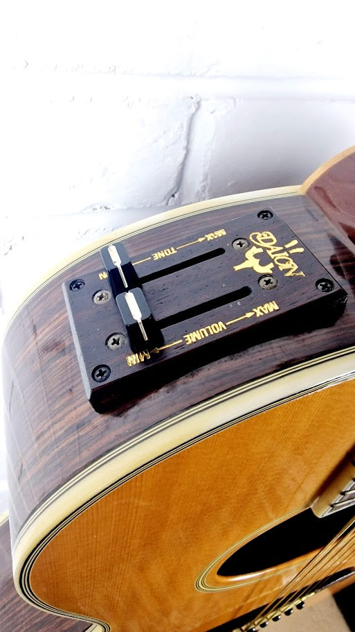 DAION THE 81 GAZELLE ELECTRO ACOUSTIC + ORIGINAL HARD CASE