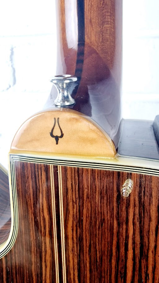 DAION THE 81 GAZELLE ELECTRO ACOUSTIC + ORIGINAL HARD CASE