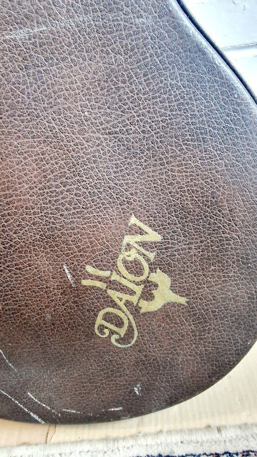 DAION THE 81 GAZELLE ELECTRO ACOUSTIC + ORIGINAL HARD CASE