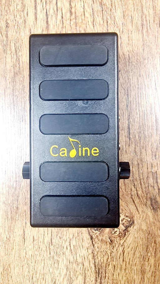 CADINE CP31 VOLUME BOOST GUITAR EFFECTS PEDAL