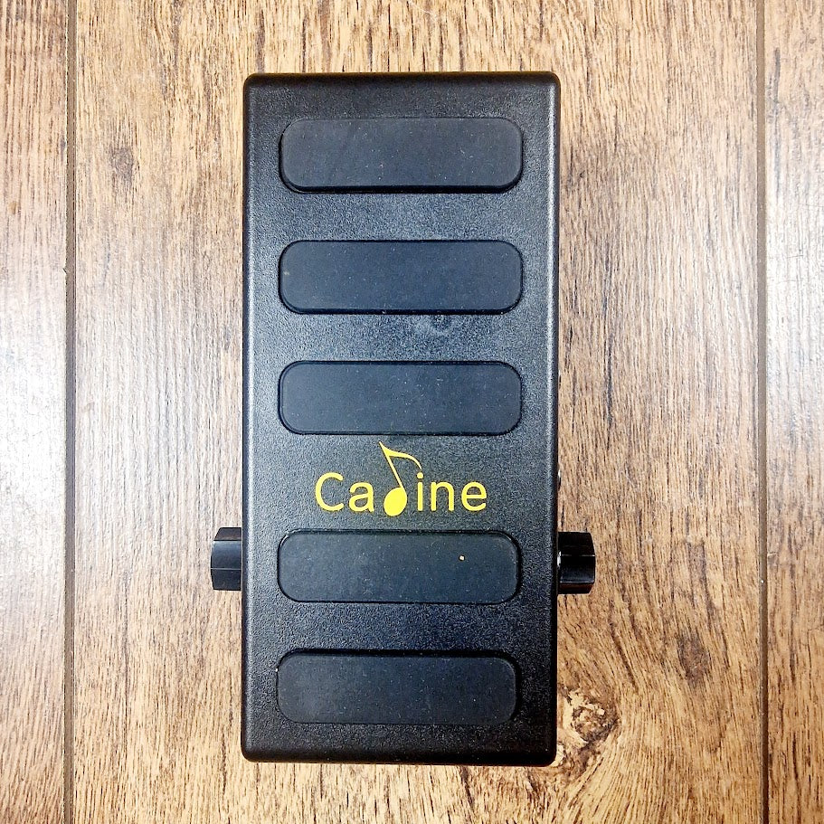 CADINE CP31 VOLUME BOOST GUITAR EFFECTS PEDAL