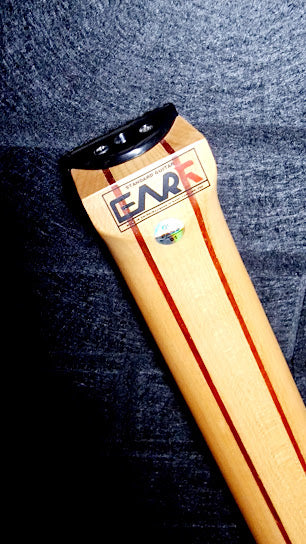 EART GW2 SOLID BLACK HEADLESS ELECTRIC GUITAR