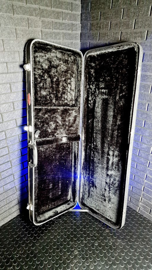 STAGG STRATOCASTER / TELECASTER ELECTRIC GUITAR ABS HARD CASE #002