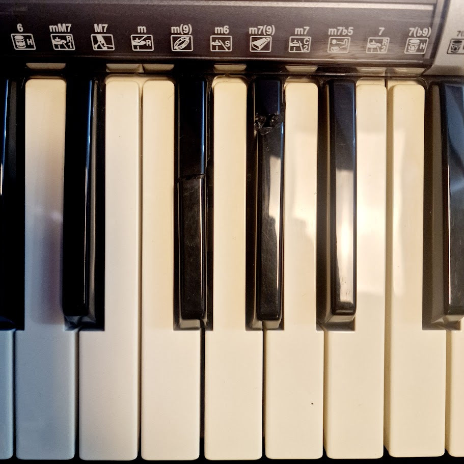 YAMAHA PSR E403 61 KEY KEYBOARD *FAULTY - 2 CRACKED KEYS*
