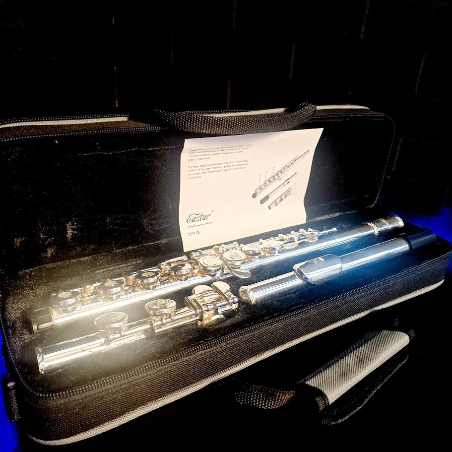 EASTAR C FLUTES OPEN HOLE 16 KEY BEGINNER FLUTE