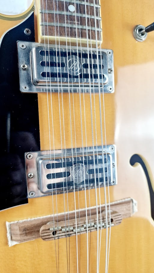 ALDEN DORCHESTER-12 12 STRING SEMI HOLLOW LEFT HANDED ELECTRIC GUITAR