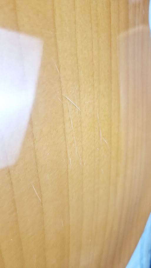 ALDEN DORCHESTER-12 12 STRING SEMI HOLLOW LEFT HANDED ELECTRIC GUITAR