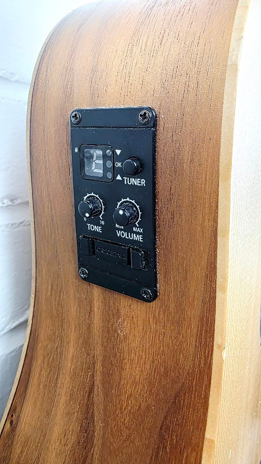 TAYLOR BABY BT1e ELECTRO ACOUSTIC GUITAR AND CASE