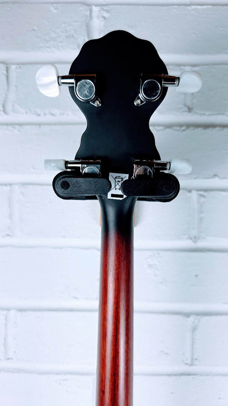 BLUE MOON 4 STRING OPEN BACK BANJO
