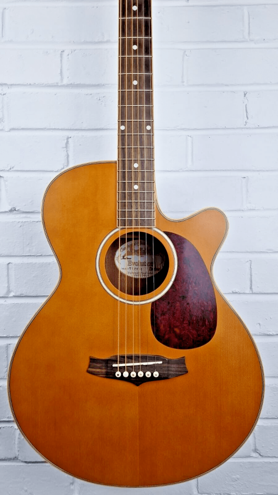 TANGLEWOOD TFCN-3 INDIANA EVOLUTION ELECTRO ACOUSTIC GUITAR