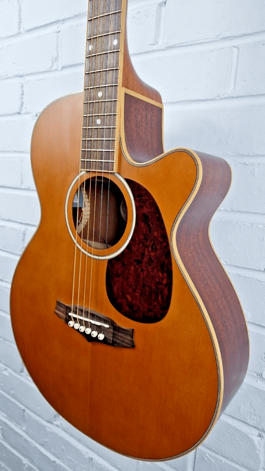 TANGLEWOOD TFCN-3 INDIANA EVOLUTION ELECTRO ACOUSTIC GUITAR
