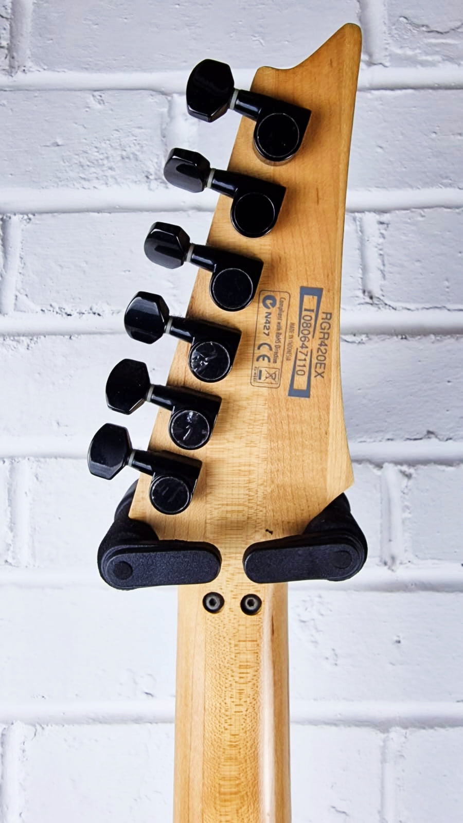 IBANEZ RGR420EX RG SERIES SILVER ARCTIC FROST ELECTRIC GUITAR