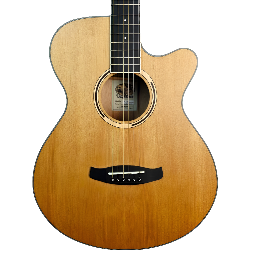 TANGLEWOOD TX EA ELECTRO ACOUSTIC GUITAR #002
