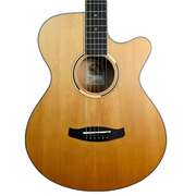 TANGLEWOOD TX EA ELECTRO ACOUSTIC GUITAR #002