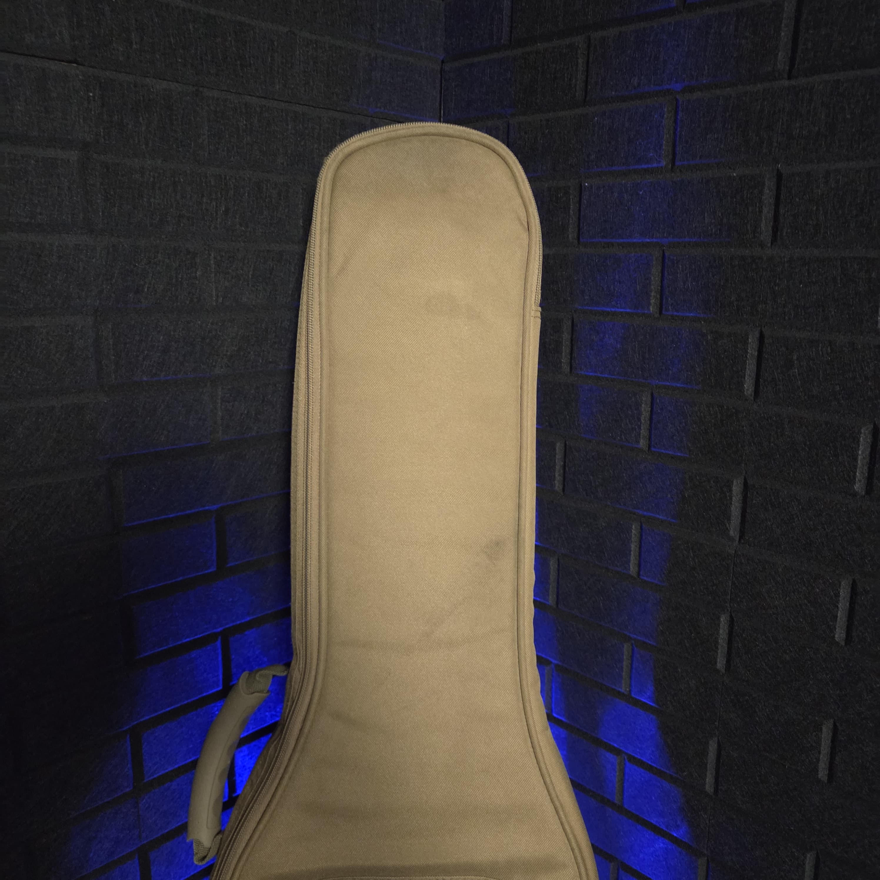 TAYLOR BABY BT1e ELECTRO ACOUSTIC GUITAR AND CASE