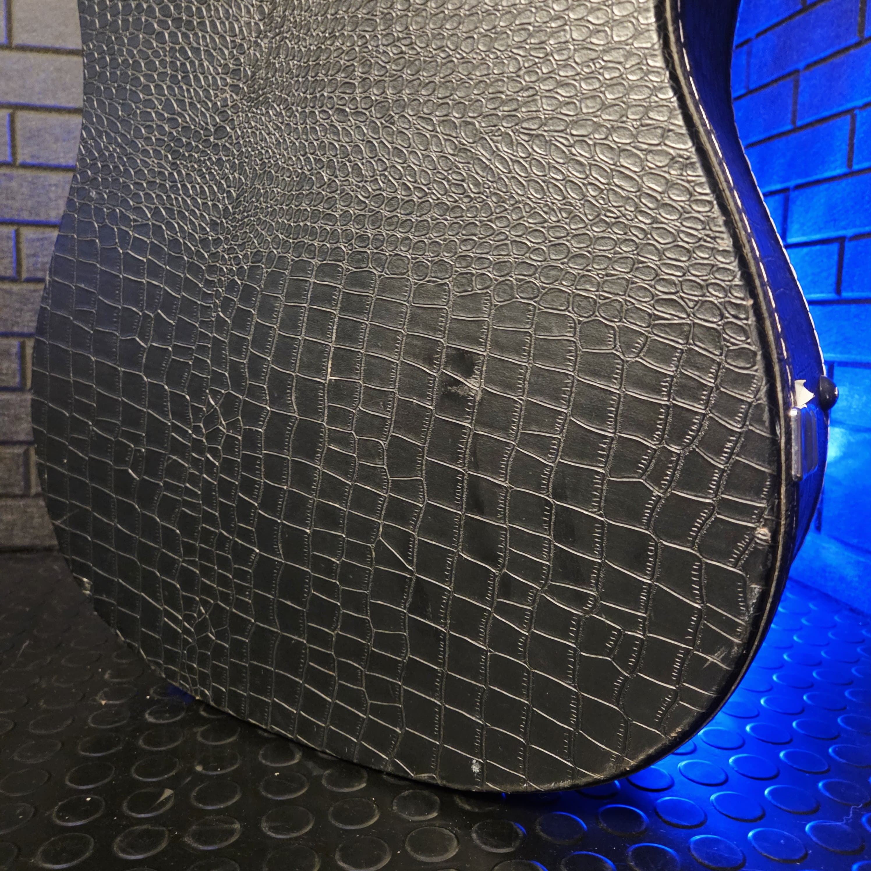 ABS ACOUSTIC DREADNOUGHT SNAKESKIN HARD CASE #001